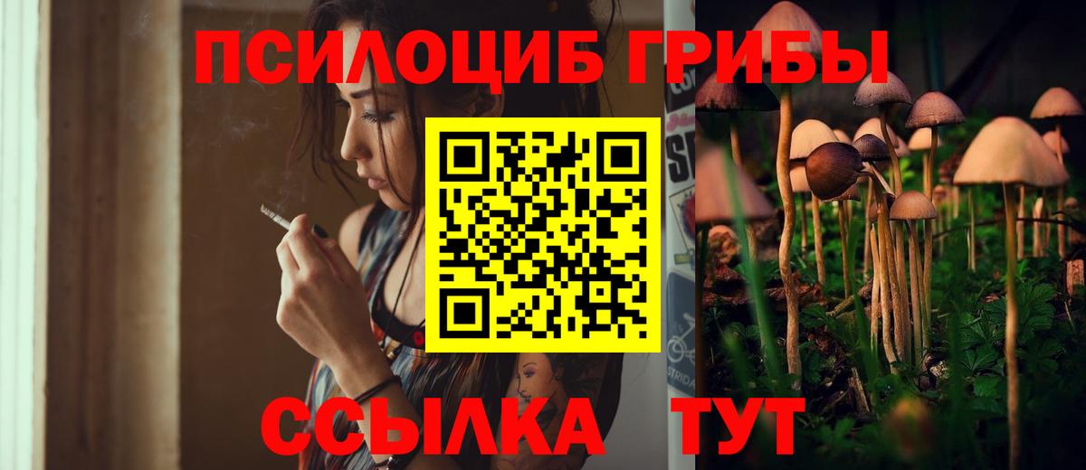 Междуреченск  Псилоцибиновые грибы GOLDEN TEACHER  Псилоцибиновые грибы GOLDEN TEACHER  Вход с VPN 