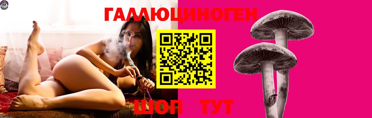 Галлюциногенные грибы мухоморы Междуреченск